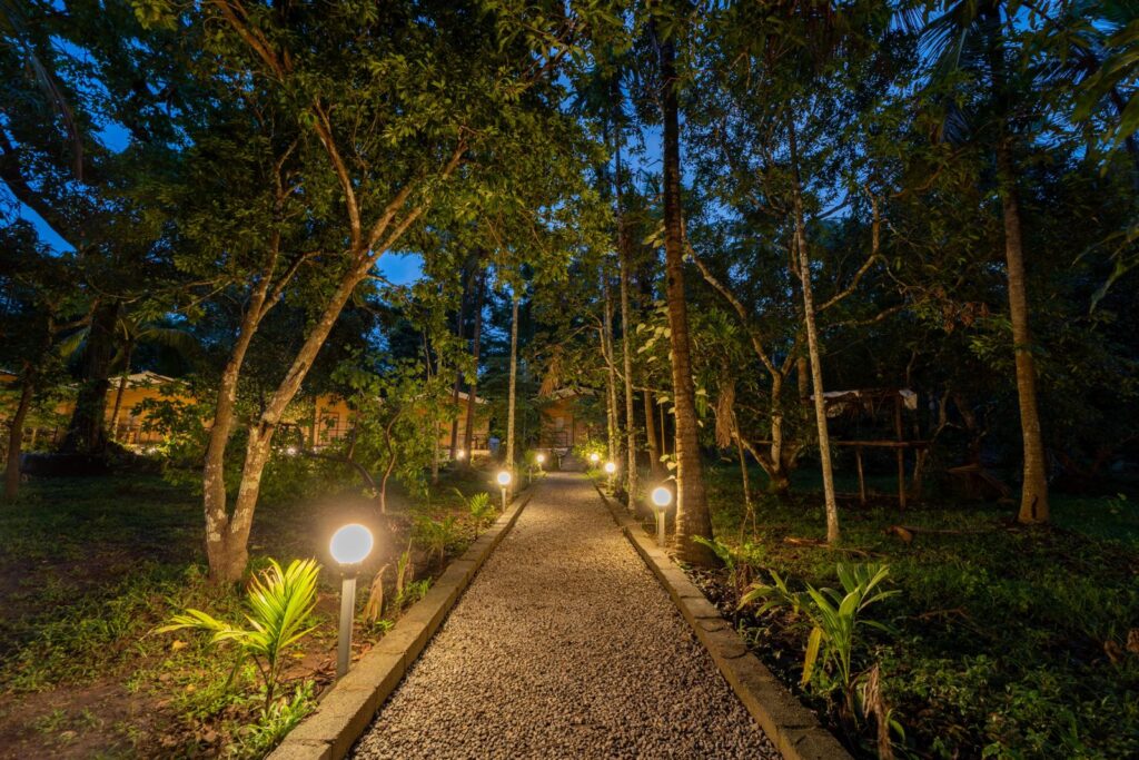 dandeli tour packages (12)